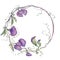 Watercolor illustration wreath fragrant peas purple flowers leaves bouquet