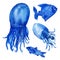 Watercolor illustrations, funny blue fish and jellyfish with tails isolated on white background.