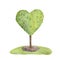 Watercolor illustrations of a heart-shaped tree on a green lawn, topiary art, landscape design, isolate.