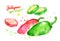 Watercolor illustrations of jalapeno pepper