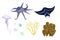 Watercolor illustrations manta ray, squid, jellyfish, octopus, anglerfish, corals stones