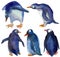 Watercolor ilustration set of different blue penguins