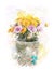 Watercolor Image Of Autumn Chrysanthemums