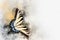 Watercolor image of a butterfly on a vintage background. Butterfly close-up. Handmade illustration. Animal world of insects