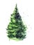 Watercolor image of coniferous fluffy tree with thick pine needles isolated on white background. Hand drawn blurry
