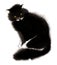 Watercolor image of fluffy black cat with direct attentive enigmatic look. Hand drawn illustration of domestic pet