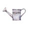 Watercolor iron watering can