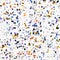 Watercolor irregular confetti dotted background. Hand painted whimsical party carnival seamless pattern. Pretty