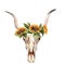 Watercolor isolated bull`s head with flowers and feathers on white background. Boho style. Skull for wrapping, wallpaper