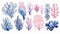 watercolor isolated object drawing blue and pink algae and corals on a white background