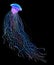 Watercolor jellyfish in modern bright neon colors isolated on black background underwater vivid illustration in large