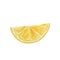 Watercolor juicy lemon slice
