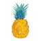 Watercolor juicy pineapple