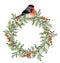 Watercolor juniper wreath with red berries and bullfinch. Hand painted evergreen branch with berries and bird on white