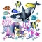 Watercolor killer whale and oceanic tropical exotic fishes among the corals illustration