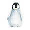 Watercolor king little penguin isolated on white background. Hand painting realistic Arctic and Antarctic ocean mammals