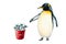 Watercolor king penguin with red bucket full of fish. For designers, decoration, postcards, wrapping paper, scrapbooking