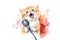 watercolor kitten with microphone on white background