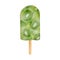 Watercolor kiwi popsicle. Hand drawn fruit ice cream pop isolated on white background. Summer frozen dessert. Green ice