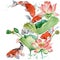 Watercolor koi carp and lotus flower. watercolor fish background illustration