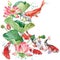 Watercolor koi carp and lotus flower. watercolor fish background illustration