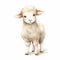 Watercolor Lamb Vector Drawing For Greeting Card