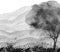 Watercolor landscape, forest. Black and white silhouette of trees. Vintage illustration. Windy day. Hilly terrain, mountains, slop