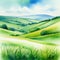 Watercolor landscape of a lush grass of gentle slopes in a rural scene on white