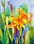 Watercolor landscape paintings original colorful of Canna Lily