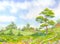 Watercolor landscape summer day. Tall oak tree beside the path