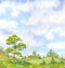 Watercolor landscape summer day. Tall oak tree beside the path