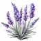 Watercolor Lavender Clipart: Powerful Symbolism In Detailed Miniatures