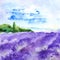 Watercolor lavender fields nature France Provence landscape