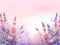 watercolor lavender flowers background