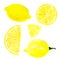 Watercolor lemon set juicy fruit and lemon slice isolated on white background. Hand painted food illustration Design