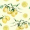 Watercolor lemon slice and branch seamless pattern. Hand painted lemon fruit on branch with slice isolated on white