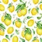 Watercolor lemon tree branches. Seamless pattern.