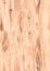 Watercolor light wood texture background.  Seamless pattern.  Shabby chic background. Hand painted wood surface background.