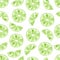 Watercolor lime seamless pattern.