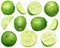 Watercolor lime set. Hand drawn botanical illustration of slices, green citrus fruits isolated on white background.