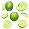 Watercolor lime set. Hand drawn botanical illusttration of slices, green citrus fruits isolated on white background for
