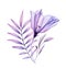 Watercolor lisianthus bouquet. Hand painted artwork with transparent violet flower and purple tropical leaves isolated