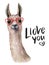 Watercolor Llove you card with llama and sunglasses. Hand painted beautiful illustration with animal, sunglasses and