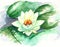 watercolor lotus flower, water lily, nymphaea alba