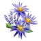 Watercolor lotus and lavender bouquet, purple tropical flower botanical illustration