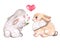 Watercolor love bunny. Two cute bunnies illustration. valentines day or Easter card. Romantic hand painted graphics