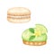 Watercolor macarons. French cooking, pastries. Pastry. Macaroon isolated on white background. Dessert in a tartlet