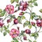 Watercolor magenta bouquet of wild roses flowers. Floral botanical flower. Seamless background pattern.