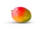 Watercolor mango fruit whole won white background