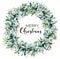 Watercolor Merry Christmas wreath with eucalyptus. Hand painted fir border with eucalyptus leaves and branches, white